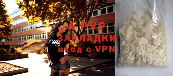 a pvp Аркадак