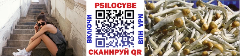 Псилоцибиновые грибы MAGIC MUSHROOMS  дарнет шоп  Пушкино 