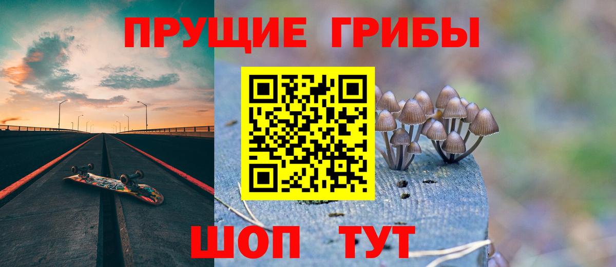Псилоцибиновые грибы мицелий Пушкино